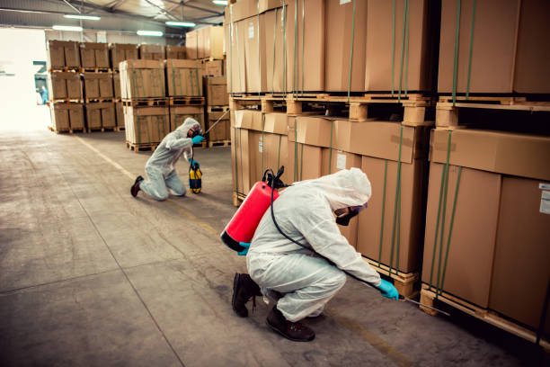 Best Commercial Pest Control Services  in Woodstock, VA