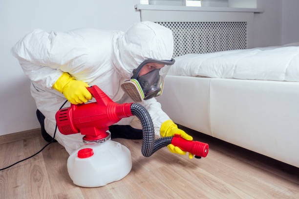 Best Cockroach Control Services  in Woodstock, VA