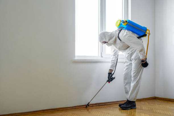 Best Best Pest Control Companies  in Woodstock, VA