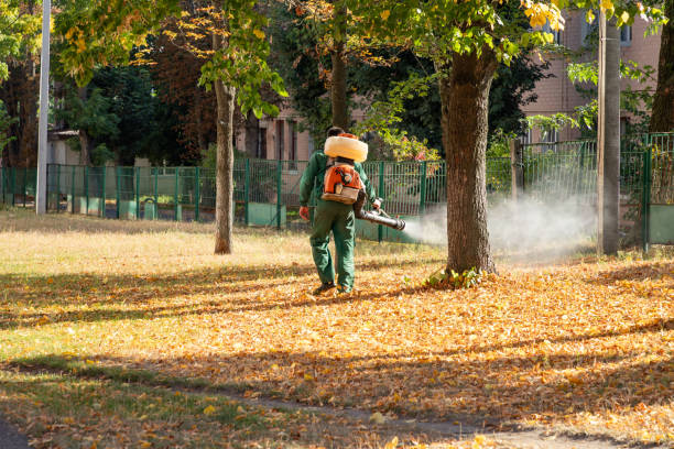 Best Local Pest Control Services  in Woodstock, VA