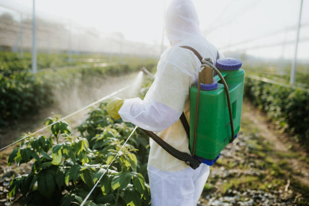 Best Insect Control  in Woodstock, VA